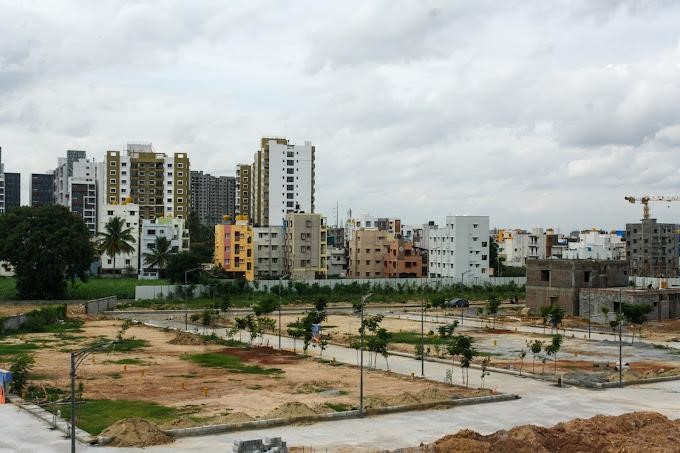 plot view