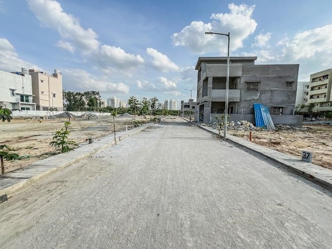 plot view